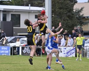 Tigers through to decider