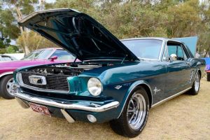 Council endorses motoring museum