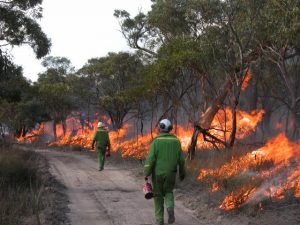 Fire services ready for bushfire season