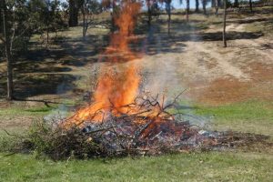 Register your burn-offs