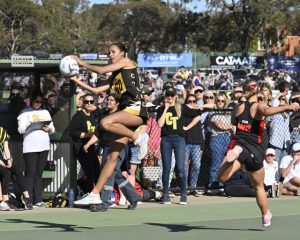 Tigers hold in A Grade thriller