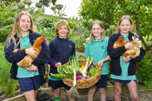 Fresh Food Fair is back