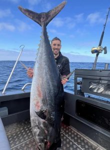 Search is on for barrel tuna
