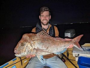 Snapper continue to chew