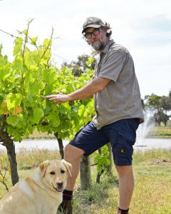 From corporate to wine
