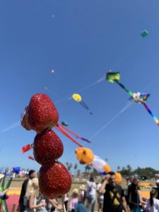 Spring festival launches at Beckley Park