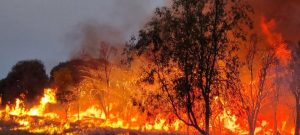 Fire prevention inspections to begin