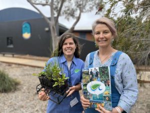 Make your garden wildlife friendly