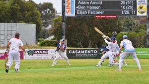 Ordinary weather for bowls and cricket