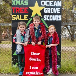 Christmas trees for scouts