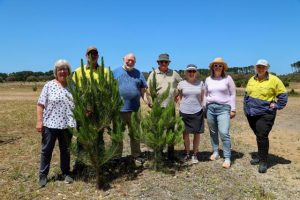Christmas trees for those in need
