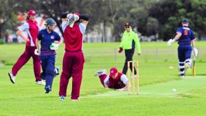 Cobras work hard to fight off Bulls