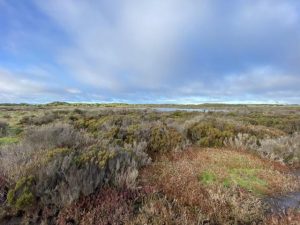 A celebration of Ramsar sites