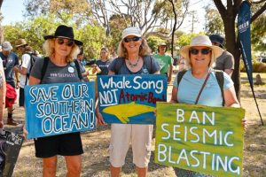 Rally against seismic blasting supported