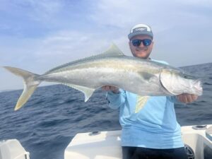 Snapper are biting back
