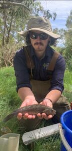 Electrofishing surveys in the Barwon