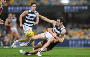 Cats clear on top