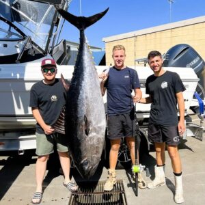 Barrel tuna going crazy
