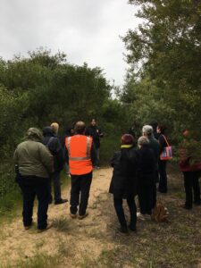 Walking for culture in Queenscliff