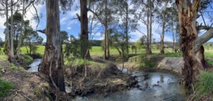 30-year Barwon River plan released