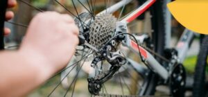 Mini riders to ride for SIDS