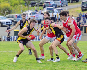 Tigers ready for Hawks or Roos