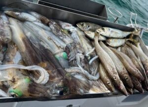 Weather favours local anglers