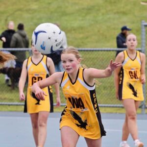 Grubbers clip Hawks’ wings