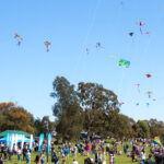 Kites_434000_01-1