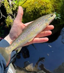 Weather turns in favour of anglers
