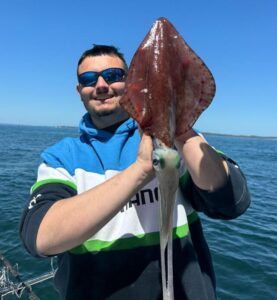 Harbour snapper on the bite