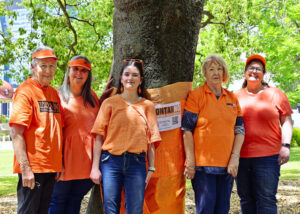 Johnstone Park goes orange