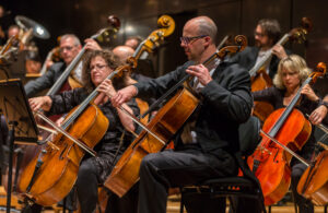 MSO spreading Christmas joy