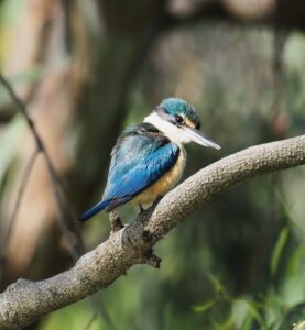 Species galore at nature reserve