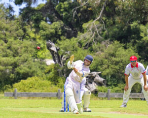 Spin puts the brakes on Heads’ innings