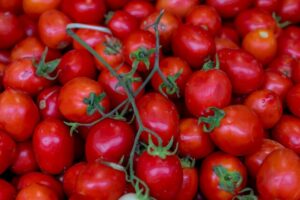 Bad news for tomato growers