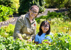 Fun blooms at botanic gardens