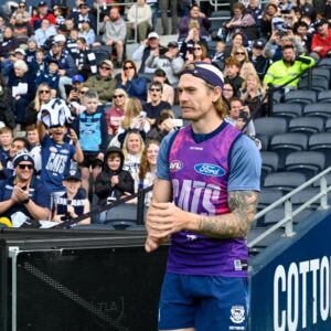 Stewart cleared of major knee damage