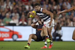 Cats impress in Gather Round win