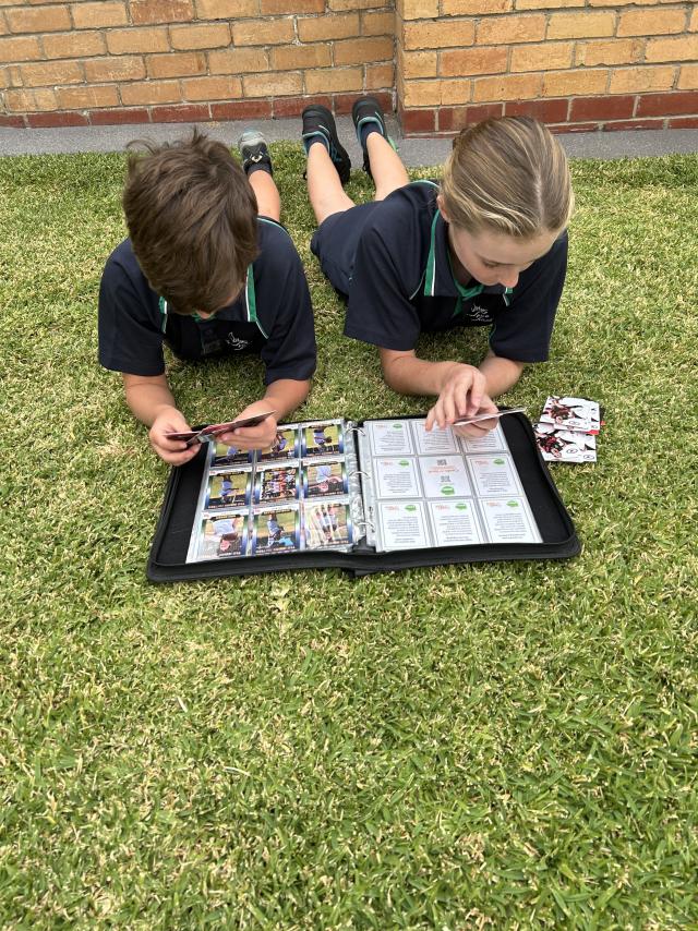 Lasting memories with Cards in the Yard