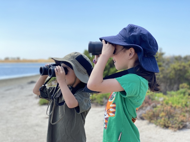 Nature fest returns