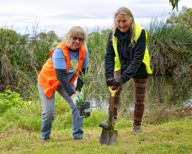 Growing environments on Tree Day