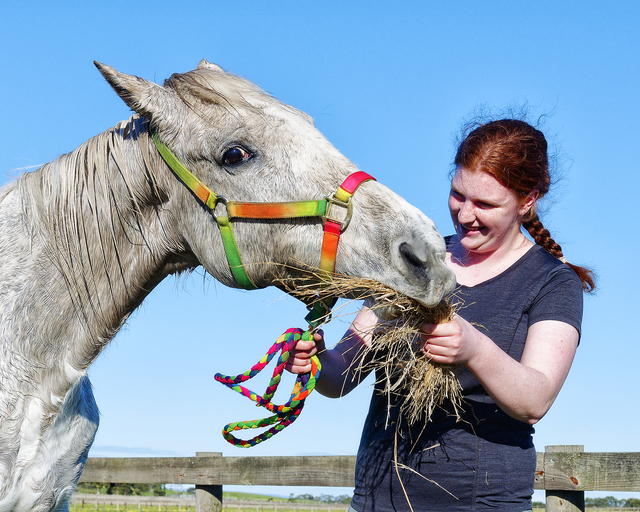 Gallop of support needed