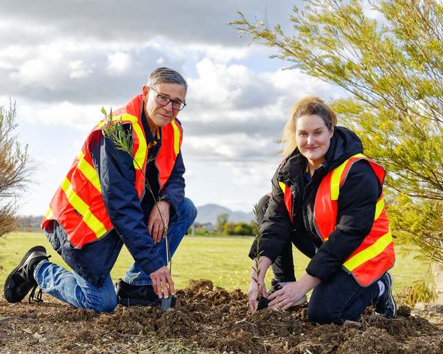 Planting a greener Lara