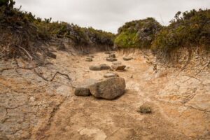Employment opportunities for drought-affected workers