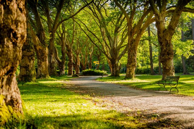 Pick your park