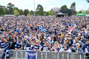Cheer on the Cats at Eastern Beach Reserve