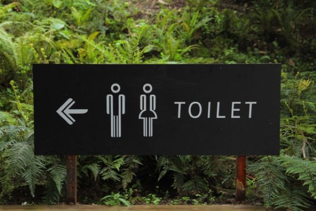 Toilet strategy reviewed