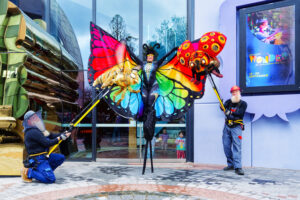 Bringing wonder to Geelong