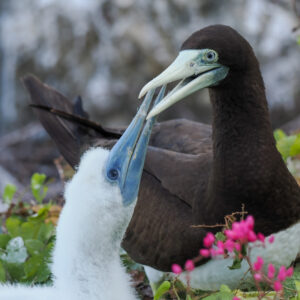 Getaway at Jervis Bay